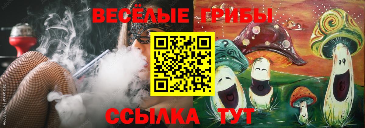 Псилоцибиновые грибы прущие грибы Черногорск