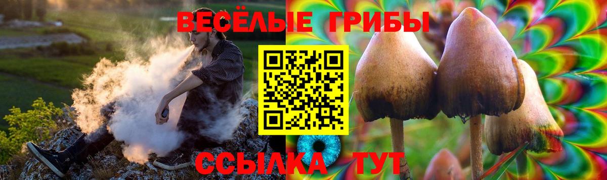 Галлюциногенные грибы прущие грибы  где можно купить   Черногорск  Вход с VPN 