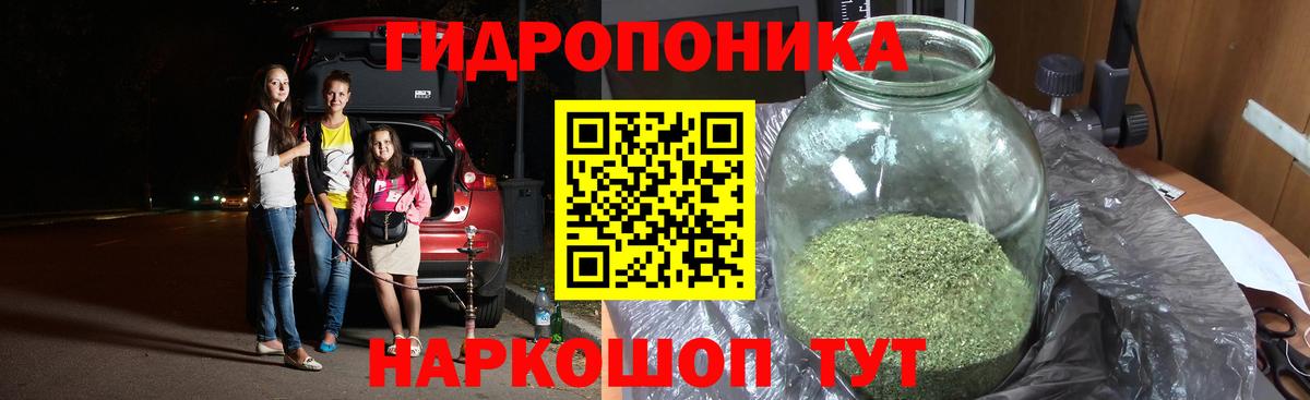 Марихуана семена Черногорск